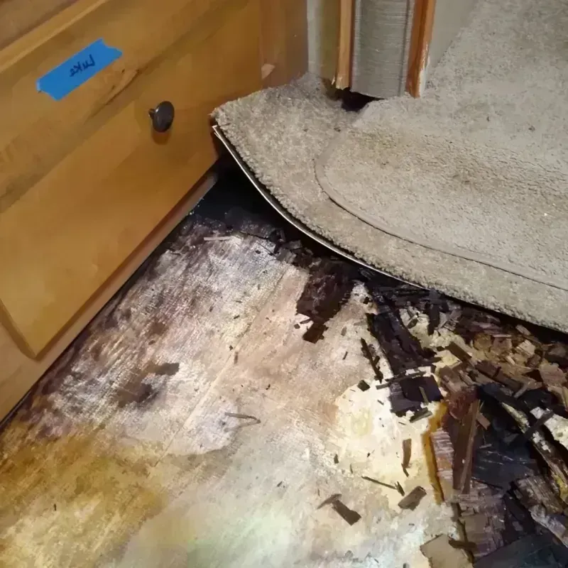 Wood Floor Water Damage in Delaware County, OK